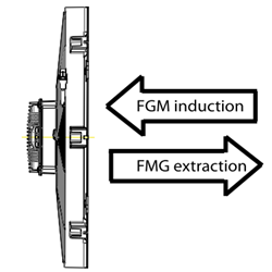 gallinea flusso FGM FMG